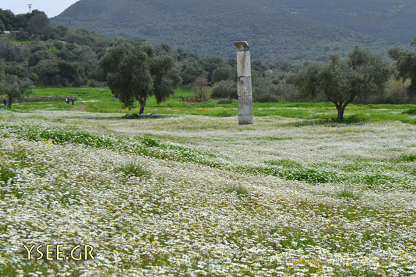 http://www.ysee.gr/images/Messini14.jpg