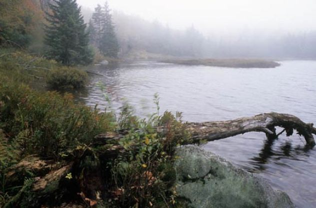 �� ������� ��� ������������ Vermont